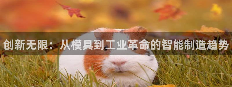 彩名堂官方软件下载