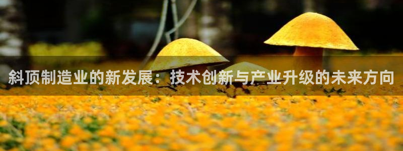 彩名堂免费计划5.0使用方法是什么