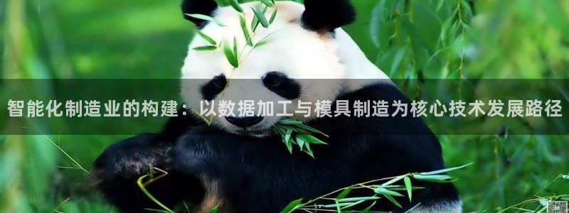 彩名堂最新预测3d