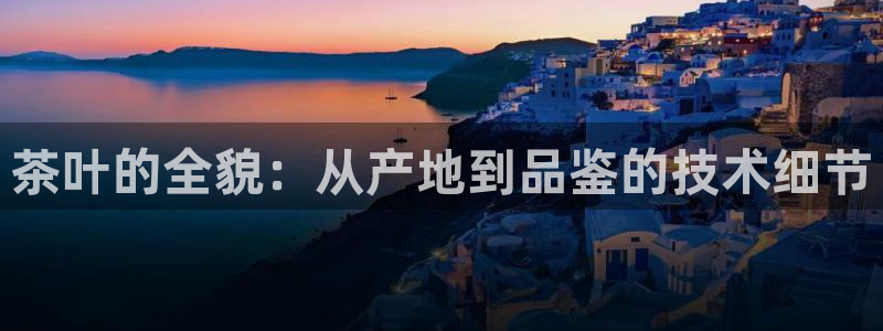 彩名堂和01计划哪个好