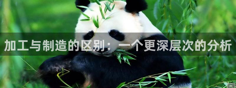 彩名堂手机客户端