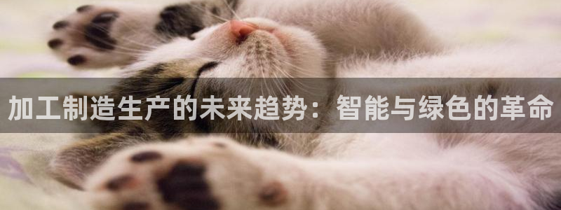 彩名堂官网在线计划