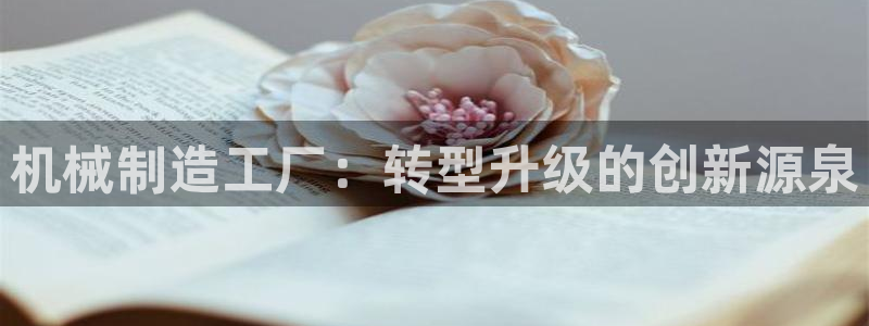 彩名堂怎么买准确率高