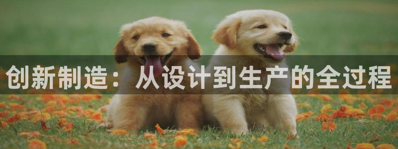 彩名堂怎么用不了了