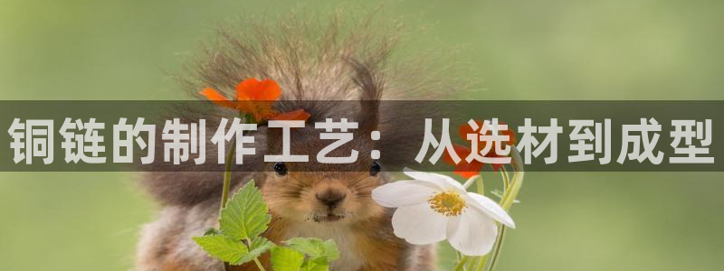 彩名堂50版本计划