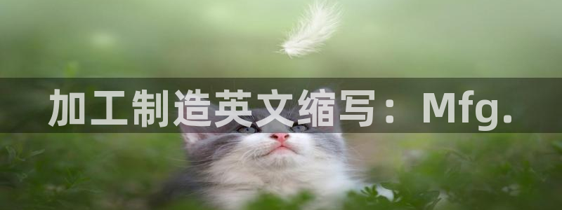 彩名堂为什么突然不能用了