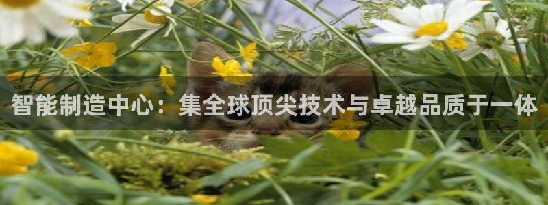 cmt彩名堂