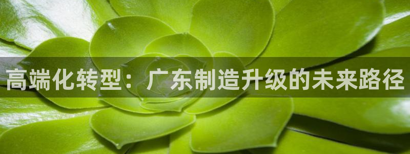 彩名堂首页