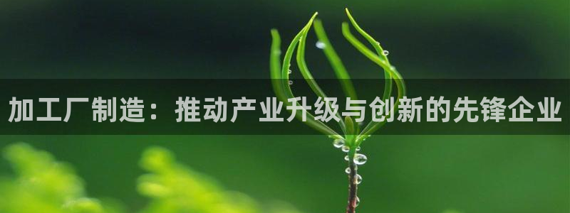 彩名堂预测计划软件