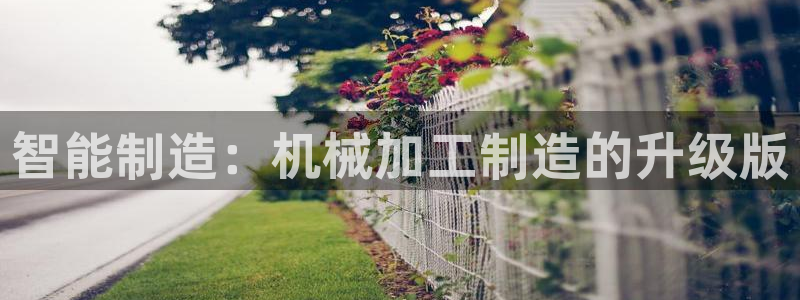 彩名堂在线下载