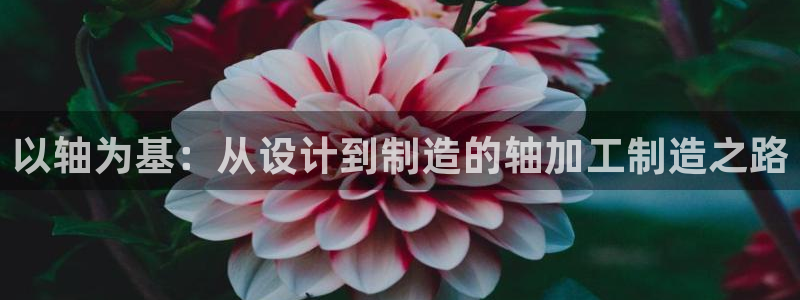 彩名堂怎么样