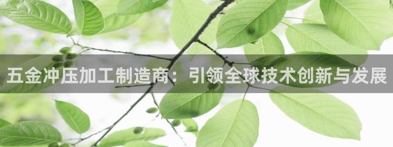 彩名堂合作655560