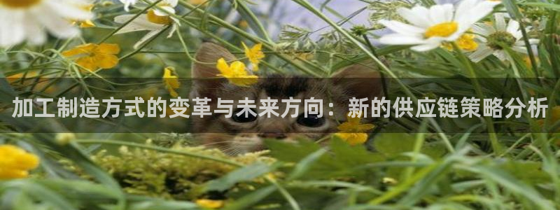 老版彩名堂