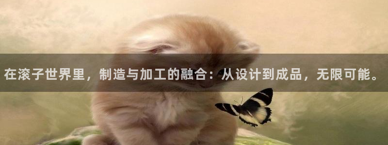 彩名堂预测免费计划怎么看的