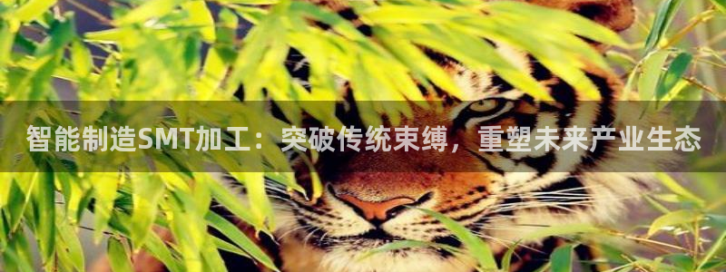 彩名堂移动客户端