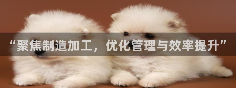 彩名堂拼音怎么拼