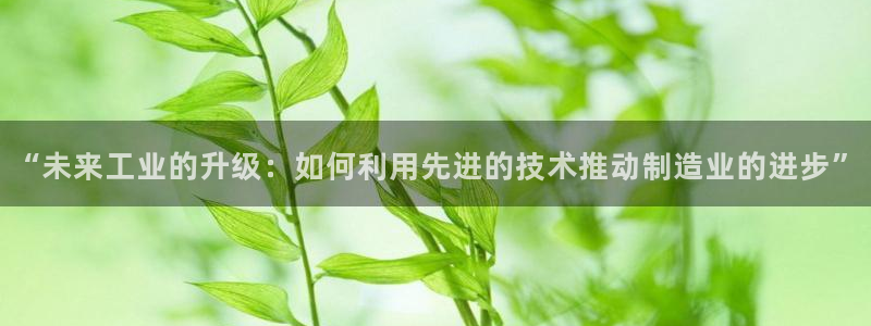 正规彩名堂官网计划