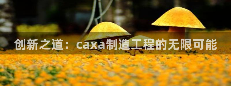 彩名堂首页
