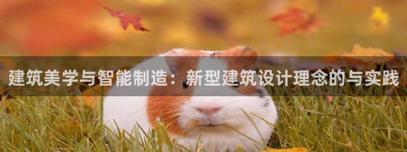 彩名堂是正规的公司吗