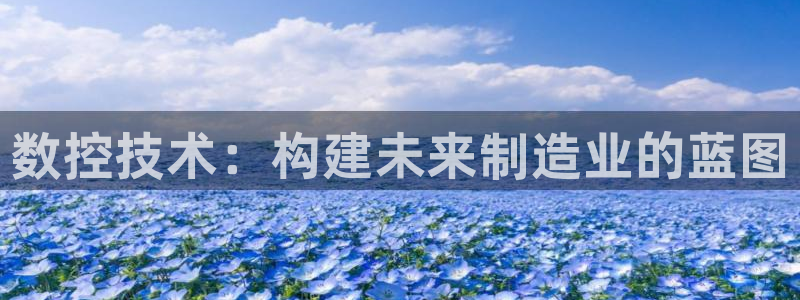 彩名堂双彩网