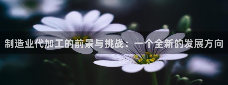 彩名堂app计划官方网站