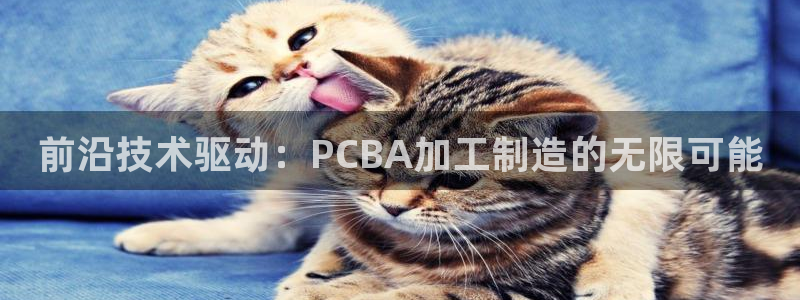 彩名堂官网计划怎么下载到手机