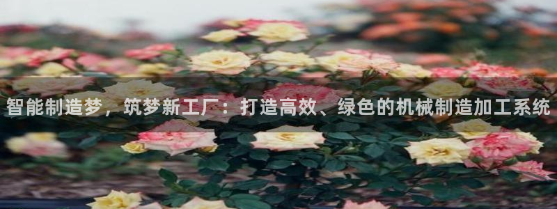 彩名堂跟哪种最好用