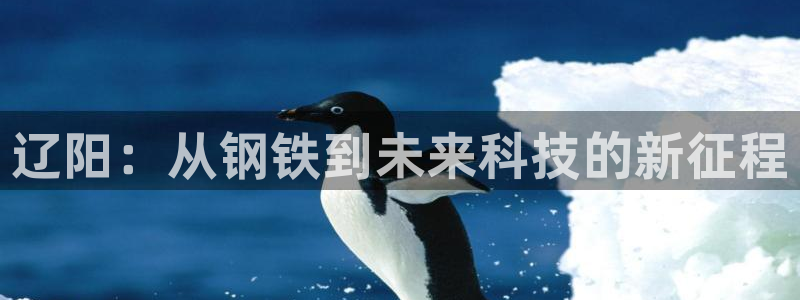 彩名堂最新预测3d
