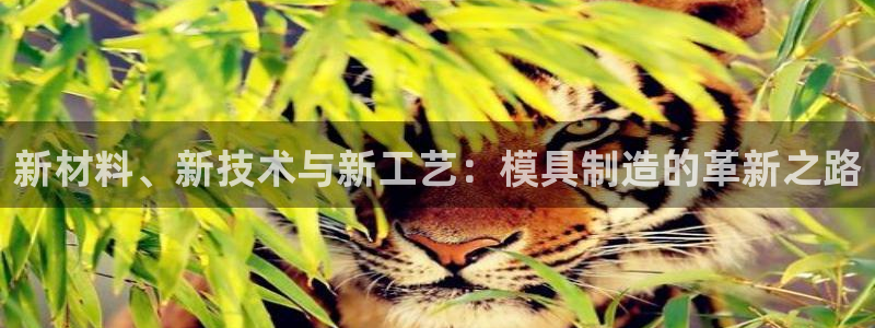 彩名堂官网在线计划怎么不更新了