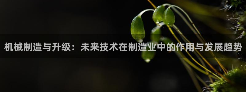 彩名堂预测官网