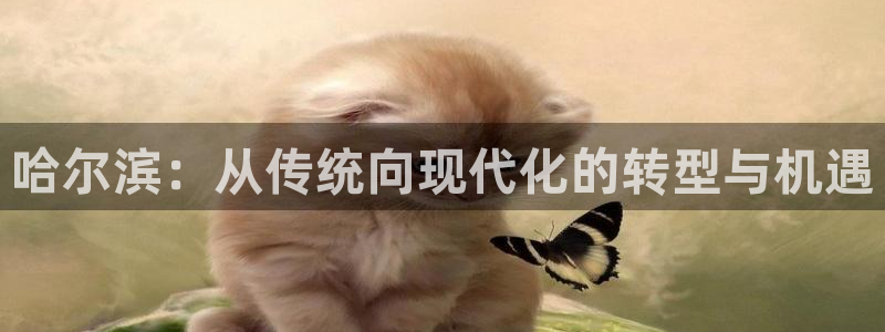 彩名堂免费计划亮点