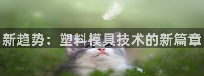 彩名堂怎么用不输