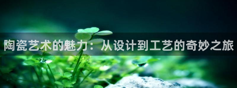 彩名堂免费计划亮点