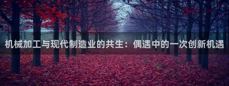 彩名堂首页