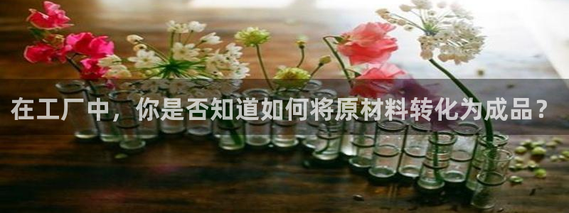 彩名堂官方平台