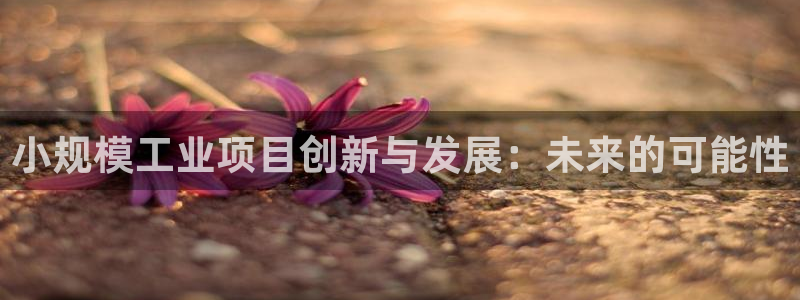 彩名堂怎么跟计划才不连挂在一起