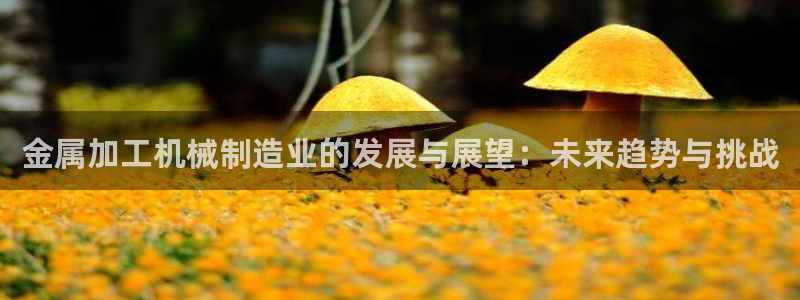 彩名堂975新版本