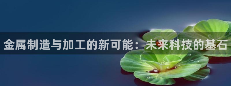 彩名堂计划软件下载