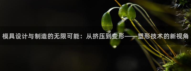 彩名堂免费计划官网怎么进不去了呀