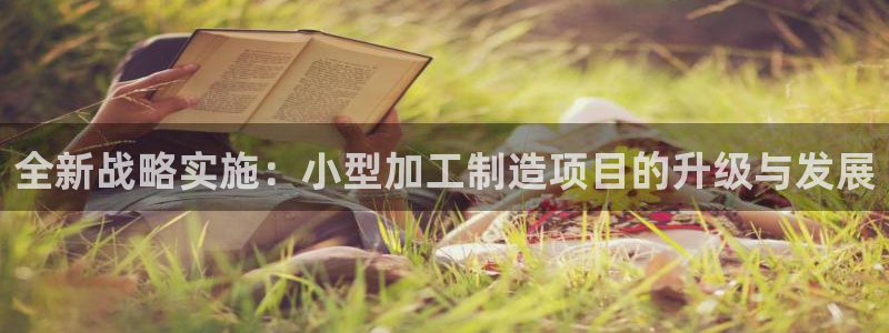 正规彩名堂官网计划01