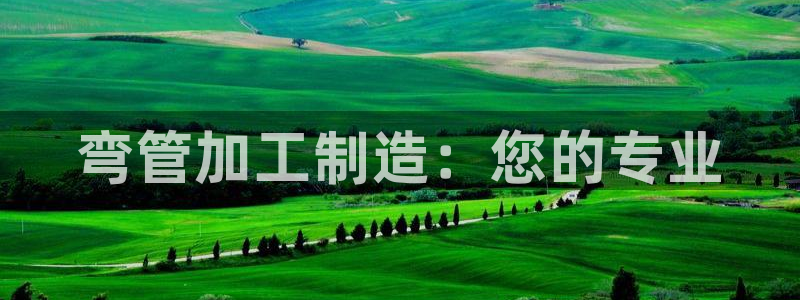 彩名堂免费计划使用方法是什么