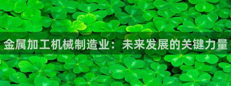 彩名堂怎么买准确率高一点