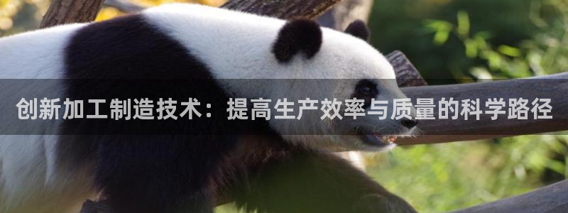 最新彩名堂计划