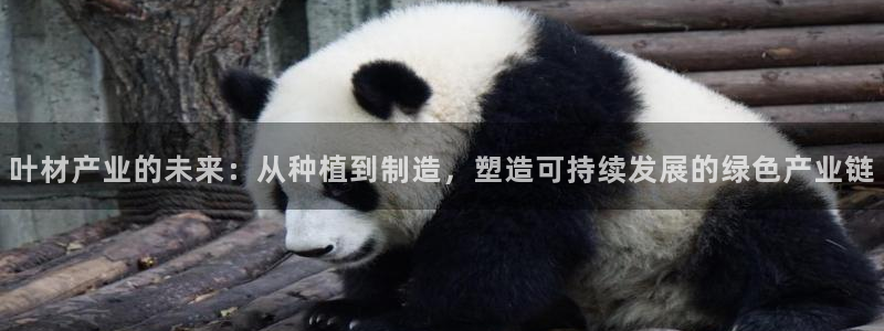 彩名堂官方平台