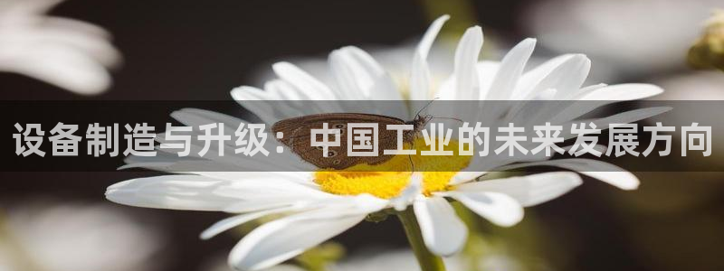 彩名堂是什么