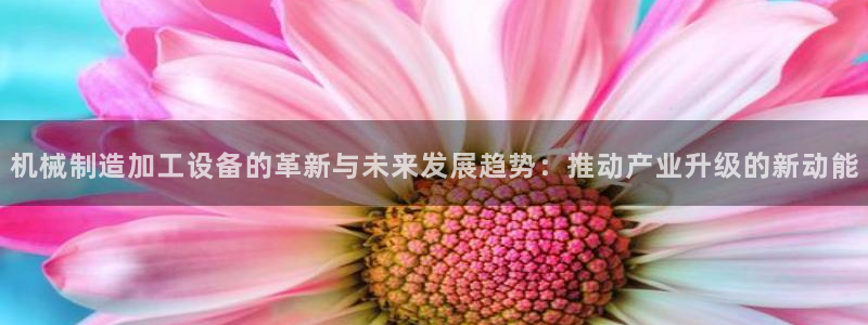 彩名堂计划真的准吗