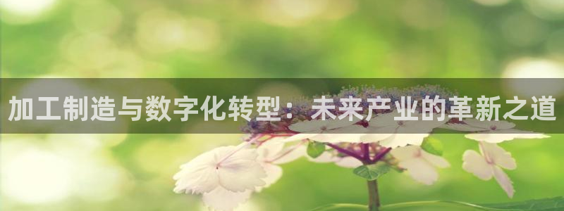彩名堂全天计划