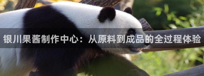彩名堂免费计划官网5.0app