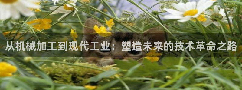 彩名堂最新计划app下载