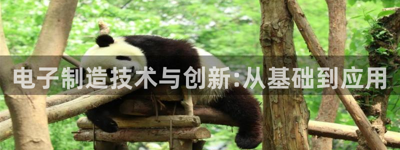 彩名堂一直不出结果怎么回事呀